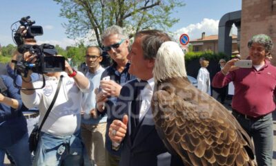 Dalla scuola allo stadio