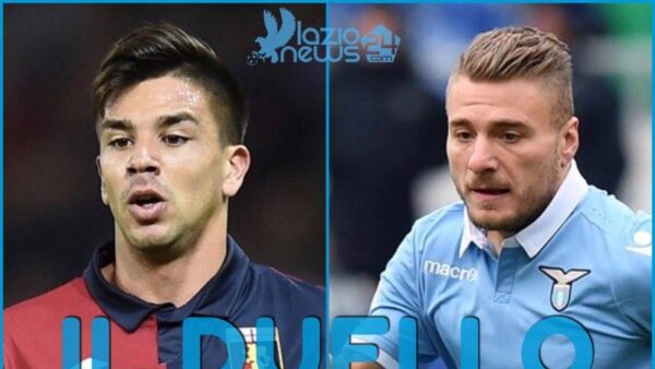 simeone immobile