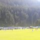 IMG 20170719 WA0007