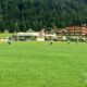 photo 2017 08 04 10 39 13