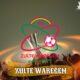 zulte waregem-lazio