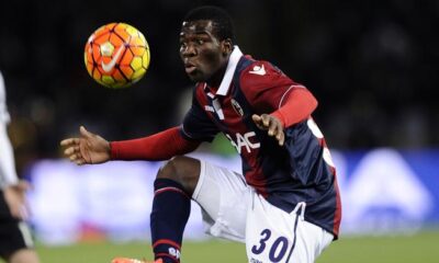 donsah bologna 2017