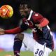 donsah bologna 2017