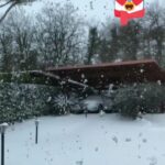 photo 2018 02 26 12 13 29