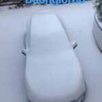 photo 2018 02 26 12 13 30