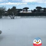 photo 2018 02 26 12 13 30 2