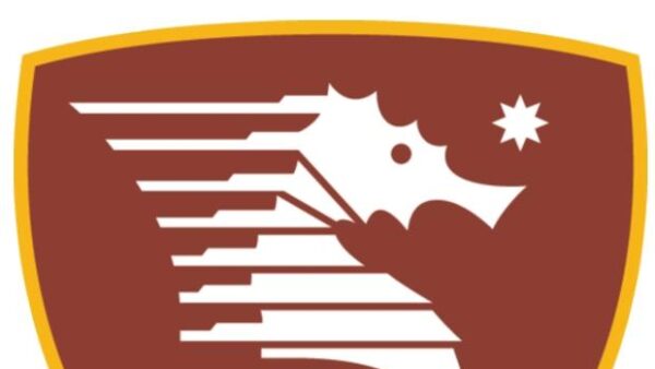 salernitana logo