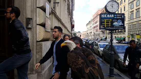 Lazio da Vinci 2