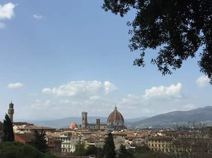 firenze città 2