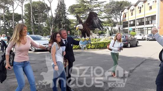 lazio asisium 1
