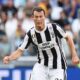 Lichtsteiner