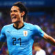cavani esultanza uruguay mondiali giugno 2018