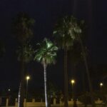 photo 2018 09 09 15 06 11