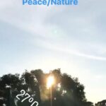 photo 2018 09 09 15 06 11 2