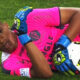 Alban Lafont fiorentina