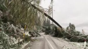 Forza Auronzo, non mollare! Cittadina piegata dal maltempo – FOTO