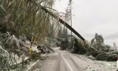 auronzo di cadore maltempo