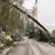 auronzo di cadore maltempo