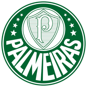 Brasile, terrore in volo per il Palmeiras: l’aereo ha rischiato di precipitare