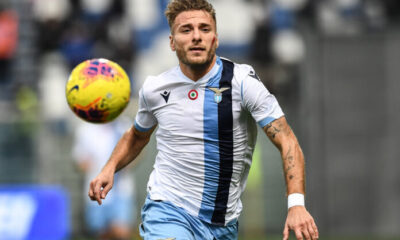 Immobile MG1 9014 e1574692903199