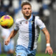 Immobile MG1 9014 e1574692903199