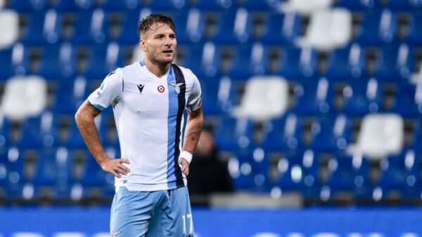 Immobile MG2 4054 1 e1574693050558