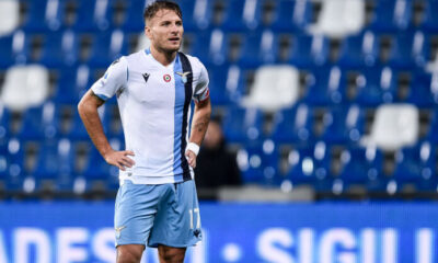 Immobile MG2 4054 e1574691336987