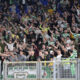 tifosi Celtic AS2 6603 e1573159261783
