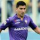 pizarro fiorentina