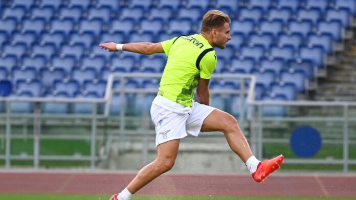 Immobile