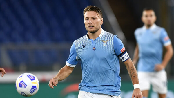 Immobile MG5 2483