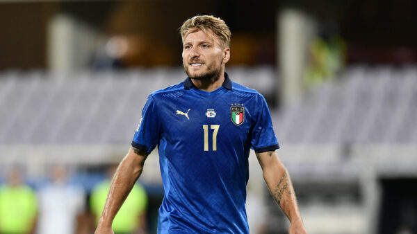 Immobile MG5 8615