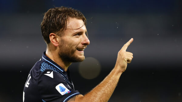 esult gol Immobile AGP 8640