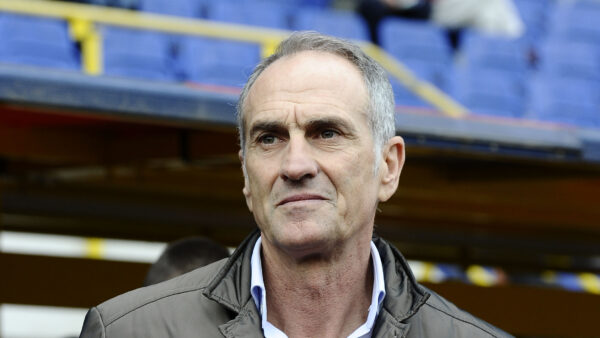 Guidolin D0B8147