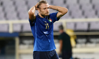 Immobile MG5 9165