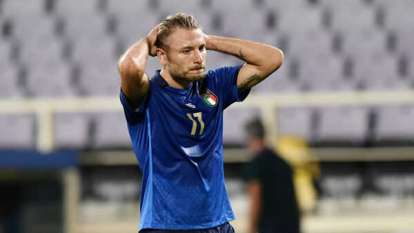 Immobile MG5 9165
