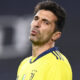Buffon