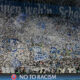 coreog tifosi Schalke imago19017502h