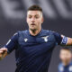 Milinkovic Savic