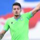 Milinkovic Savic