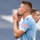 milinkovic 1