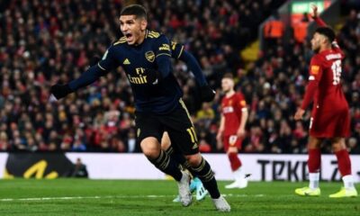 Torreira