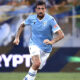 Acerbi