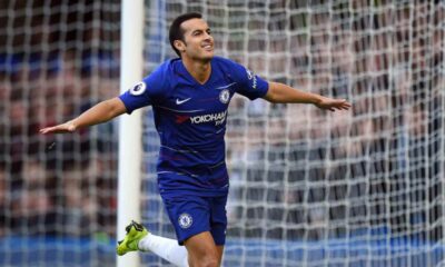 pedro 1 1