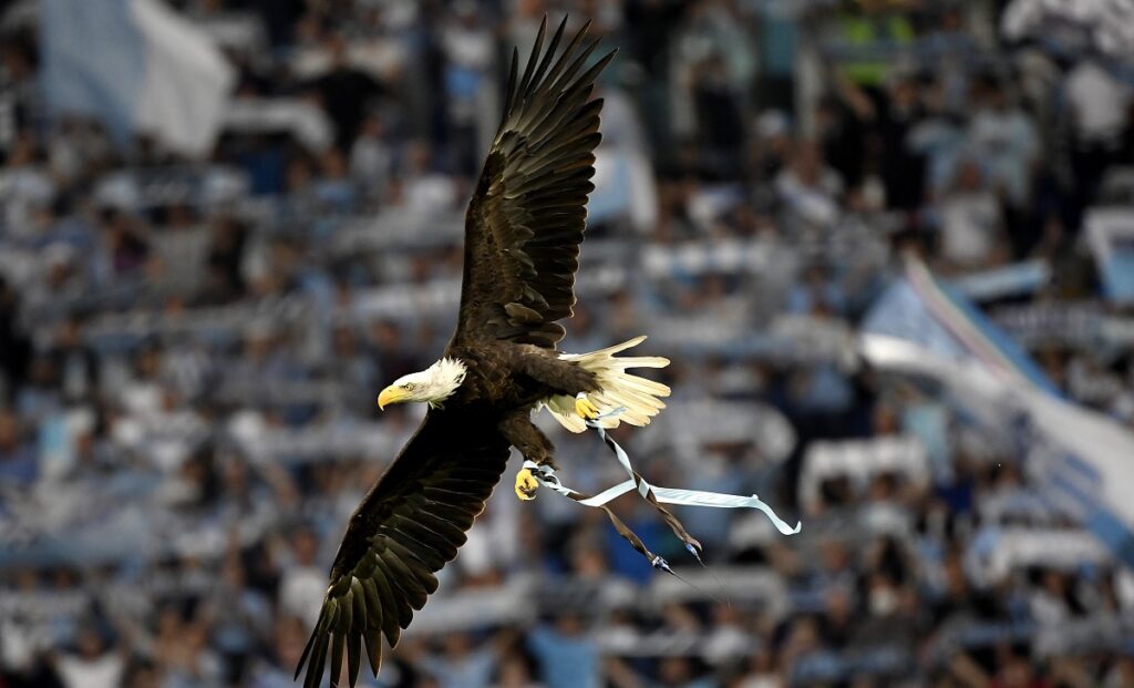 Lazio Style Channel, il palinsesto completo della settimana: tutti gli appuntamenti 1 Olimpia STA2027
