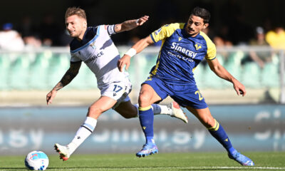 Immobile Gunter MG8 7421