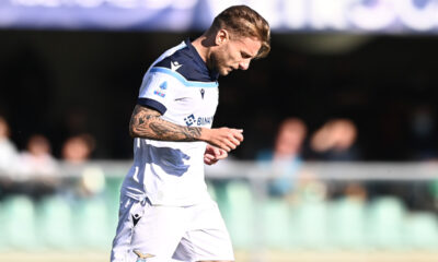 Immobile MG8 7624