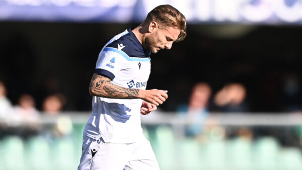 Immobile MG8 7624