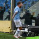 Immobile MG6 9117