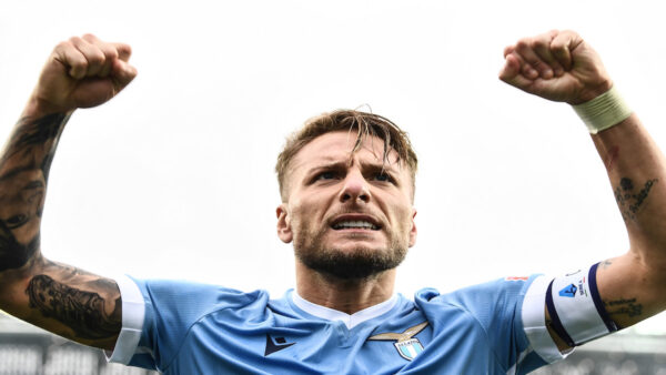 Immobile MG6 9207